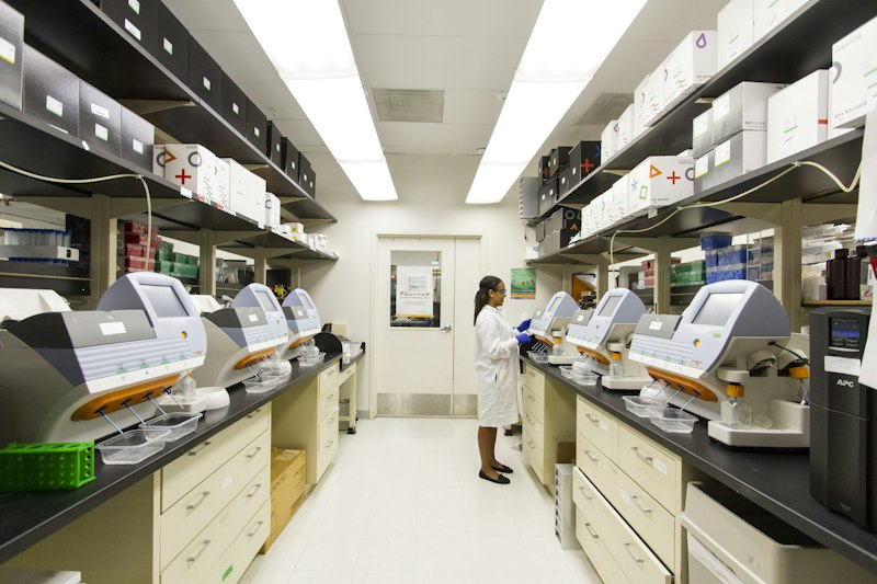 Osmotic effect laboratory
